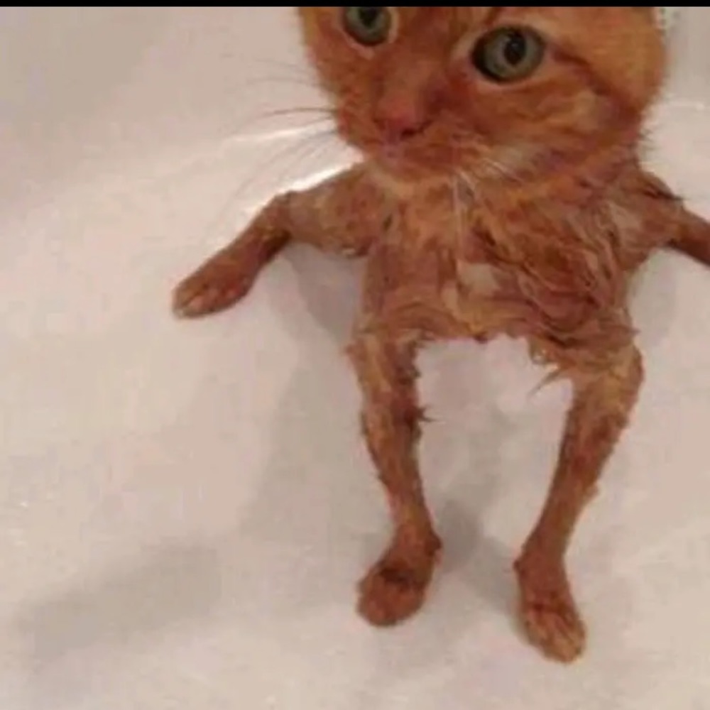 Meet your Posher, Emberli